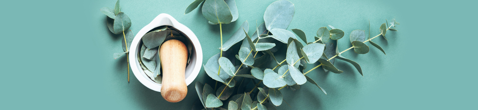 eucalyptus essential oil