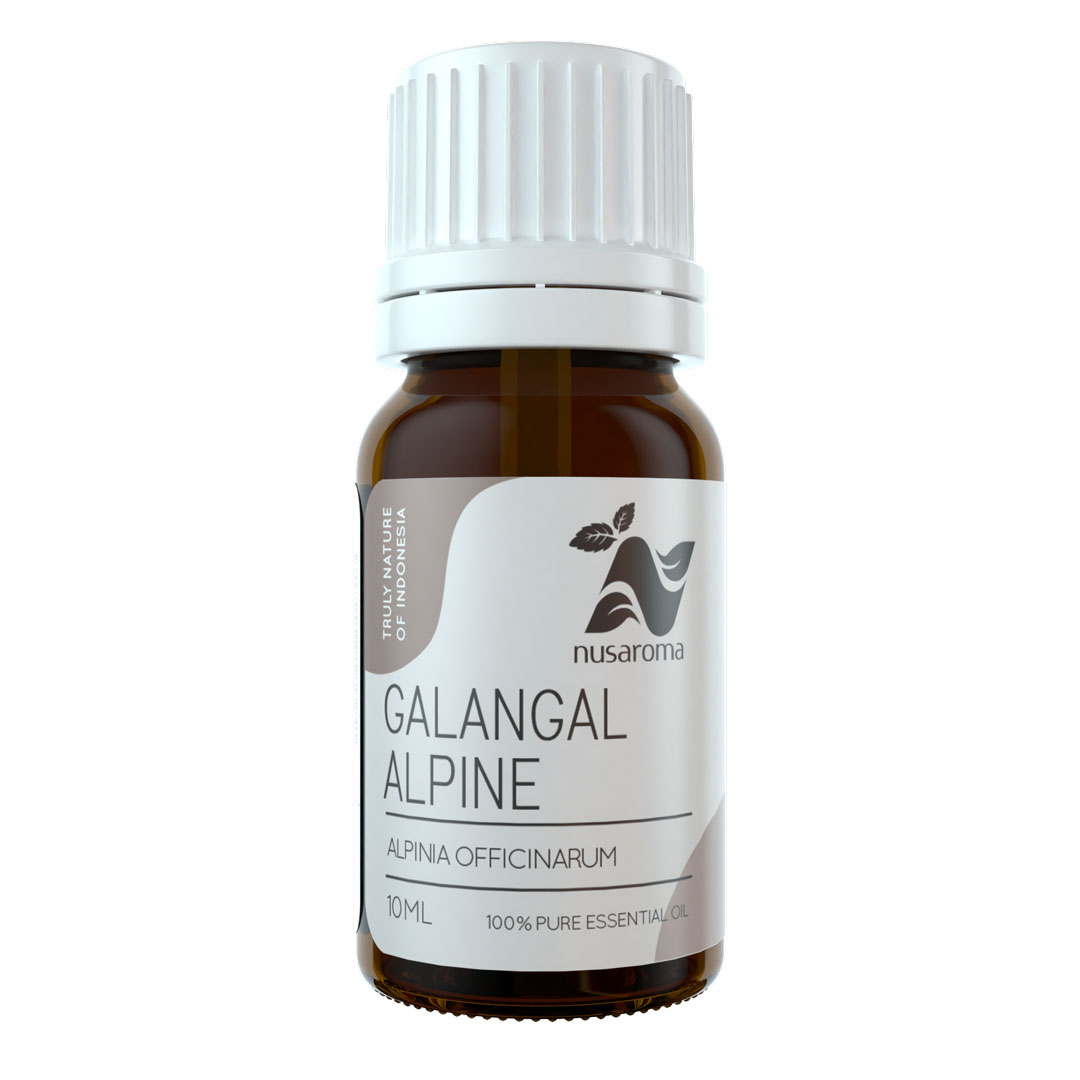 Alpinia Galangal Essential Oil - Nusaroma